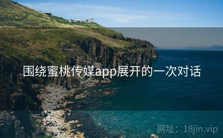 围绕蜜桃传媒app展开的一次对话  第2张