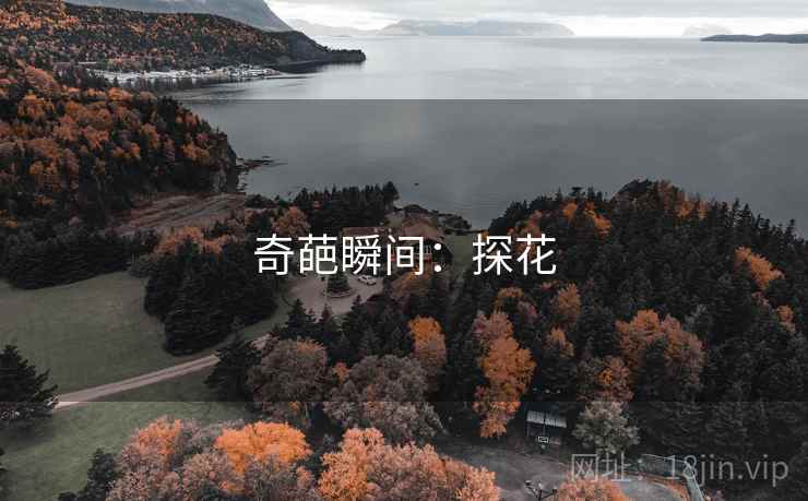 奇葩瞬间：探花
