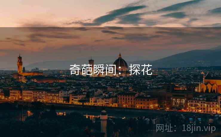 奇葩瞬间：探花