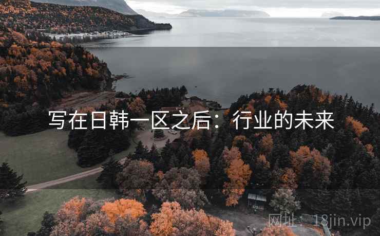 写在日韩一区之后：行业的未来  第1张