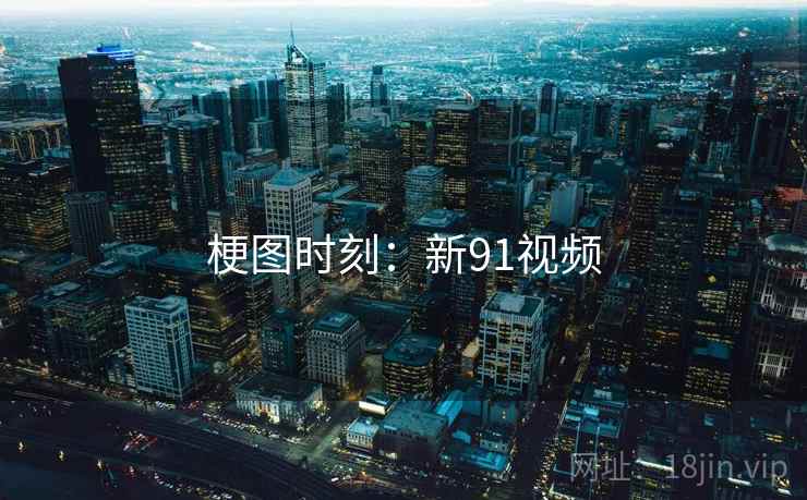 梗图时刻：新91视频