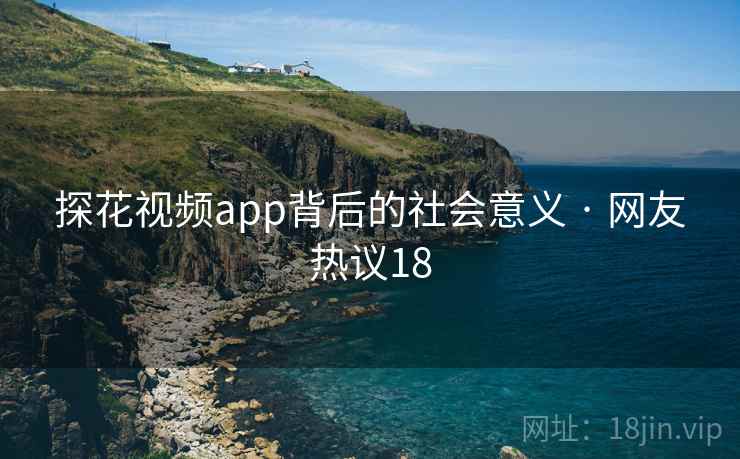 探花视频app背后的社会意义 · 网友热议18