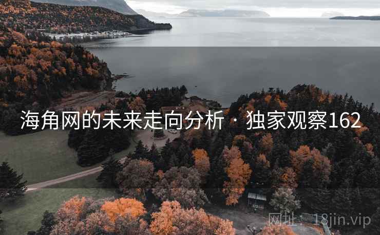 海角网的未来走向分析 · 独家观察162