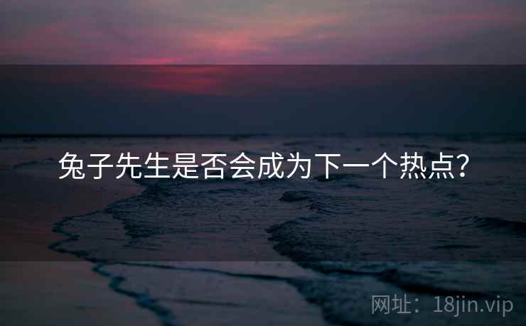 兔子先生是否会成为下一个热点？