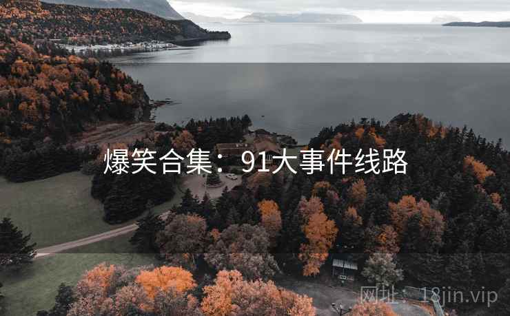 爆笑合集：91大事件线路