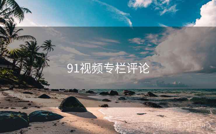 91视频专栏评论