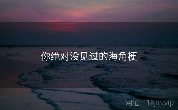 你绝对没见过的海角梗