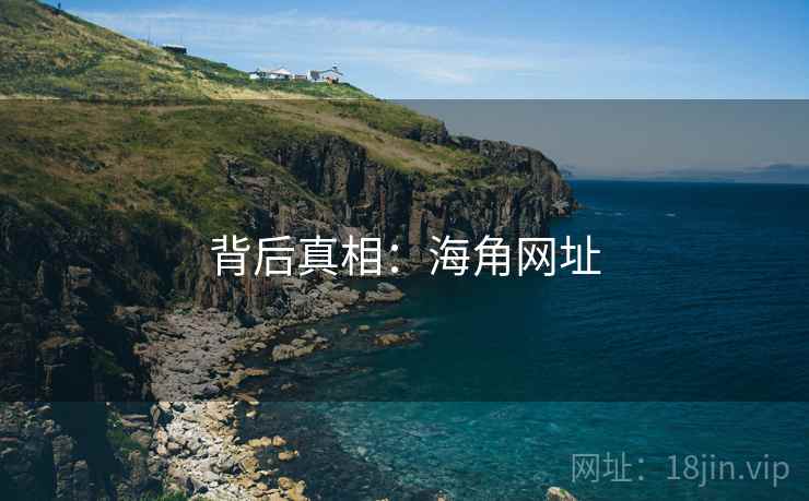 背后真相：海角网址