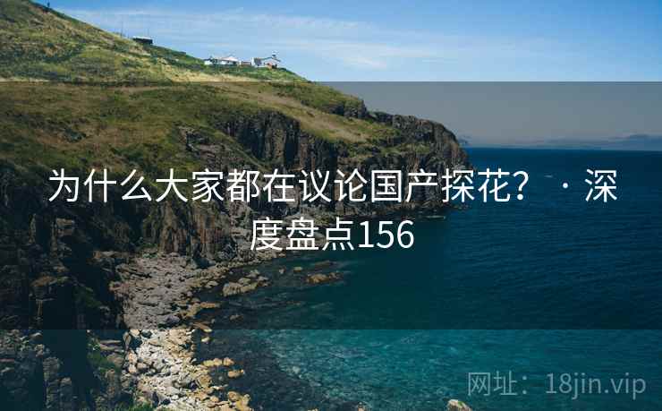 为什么大家都在议论国产探花？ · 深度盘点156