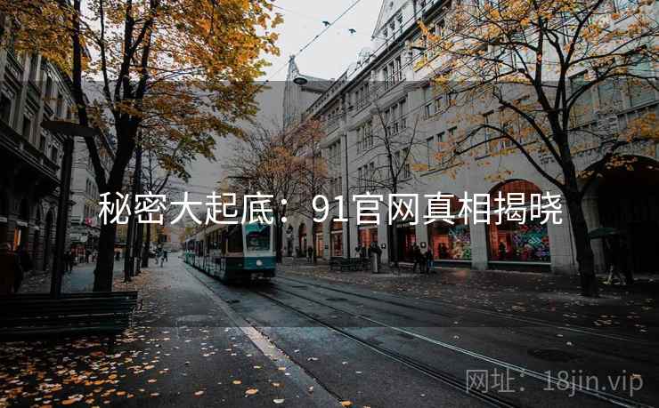 秘密大起底：91官网真相揭晓